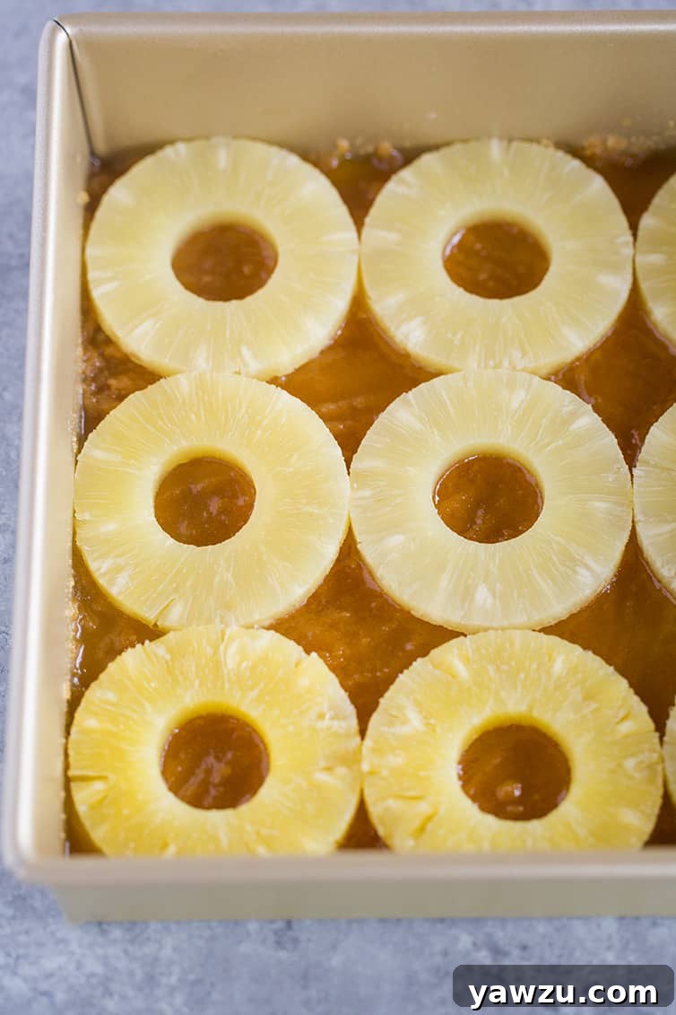 Pineapple slices perfectly arranged on a butter and brown sugar base in a square baking pan, ready for the cake batter.
