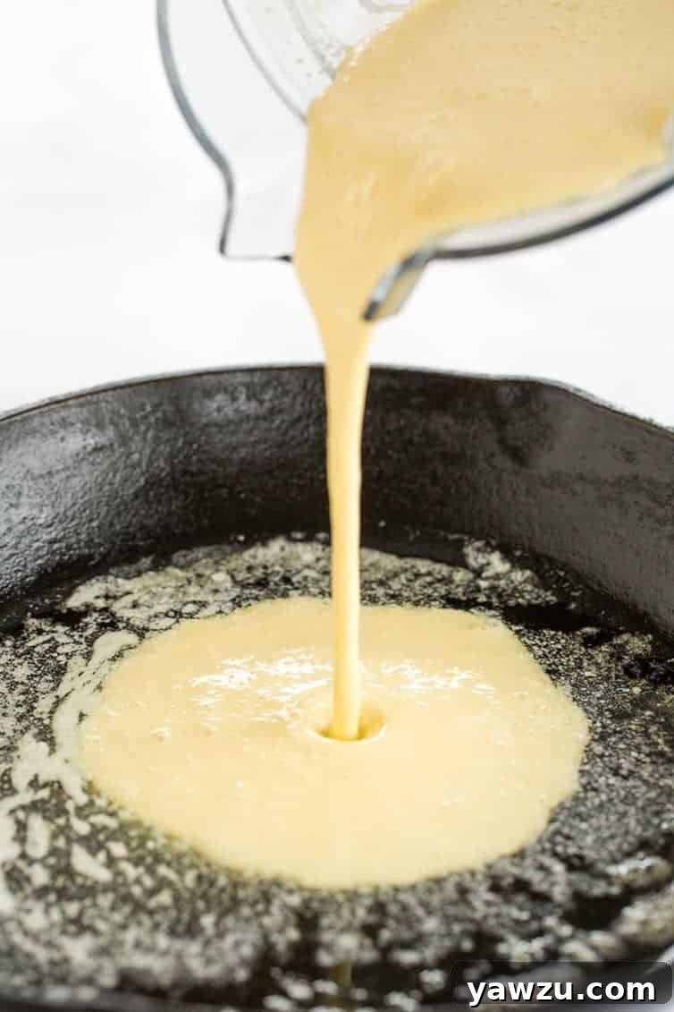 This Dutch baby pancake, sometimes called a German pancake, is a not-too-sweet, crepe-like popover that makes the perfect breakfast or brunch.