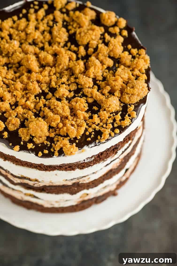 An inviting overhead shot reveals the intricate, multi-layered S'mores cake, ready to be sliced.