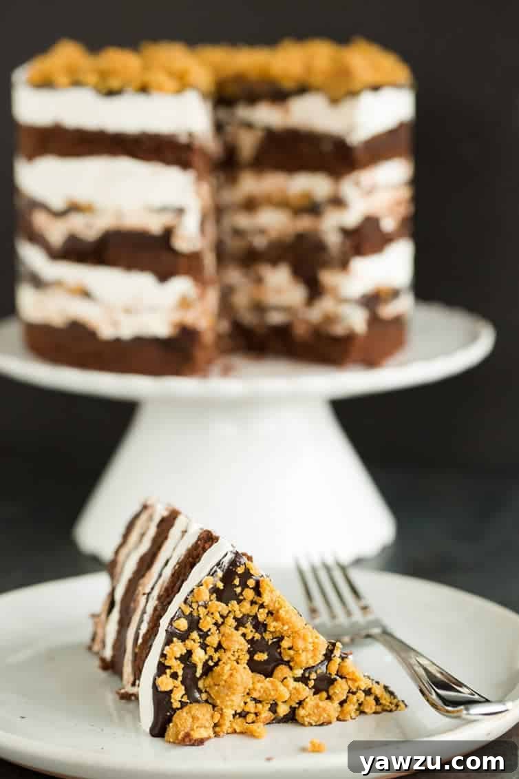 A perfect slice of S'mores cake, showcasing its rich layers, stands proudly in front of the larger, cut cake.