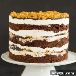 A S'mores layer cake sitting on a cake pedestal.