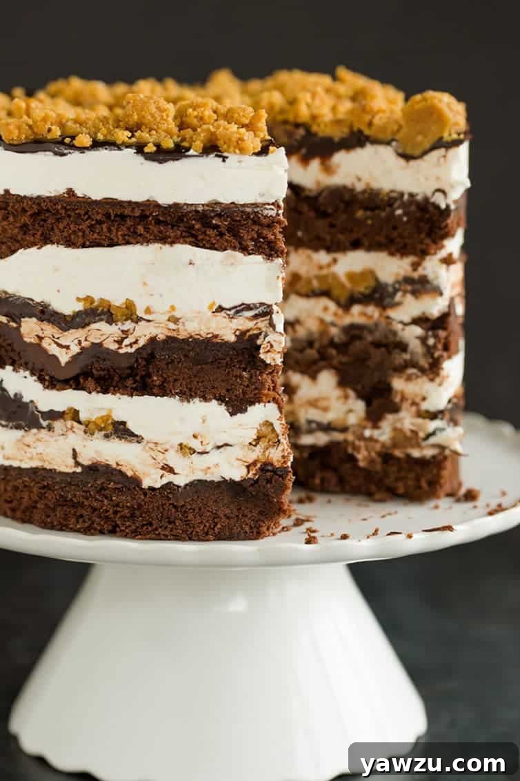 The impressive Milk Bar-style S'mores cake with a slice already removed, revealing the delicious layers within.