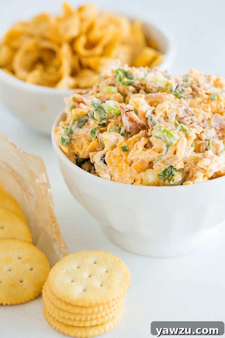Neiman Marcus Dip - A quick and easy combination of bacon, cheddar, scallions, mayo, toasted almonds and hot sauce! 