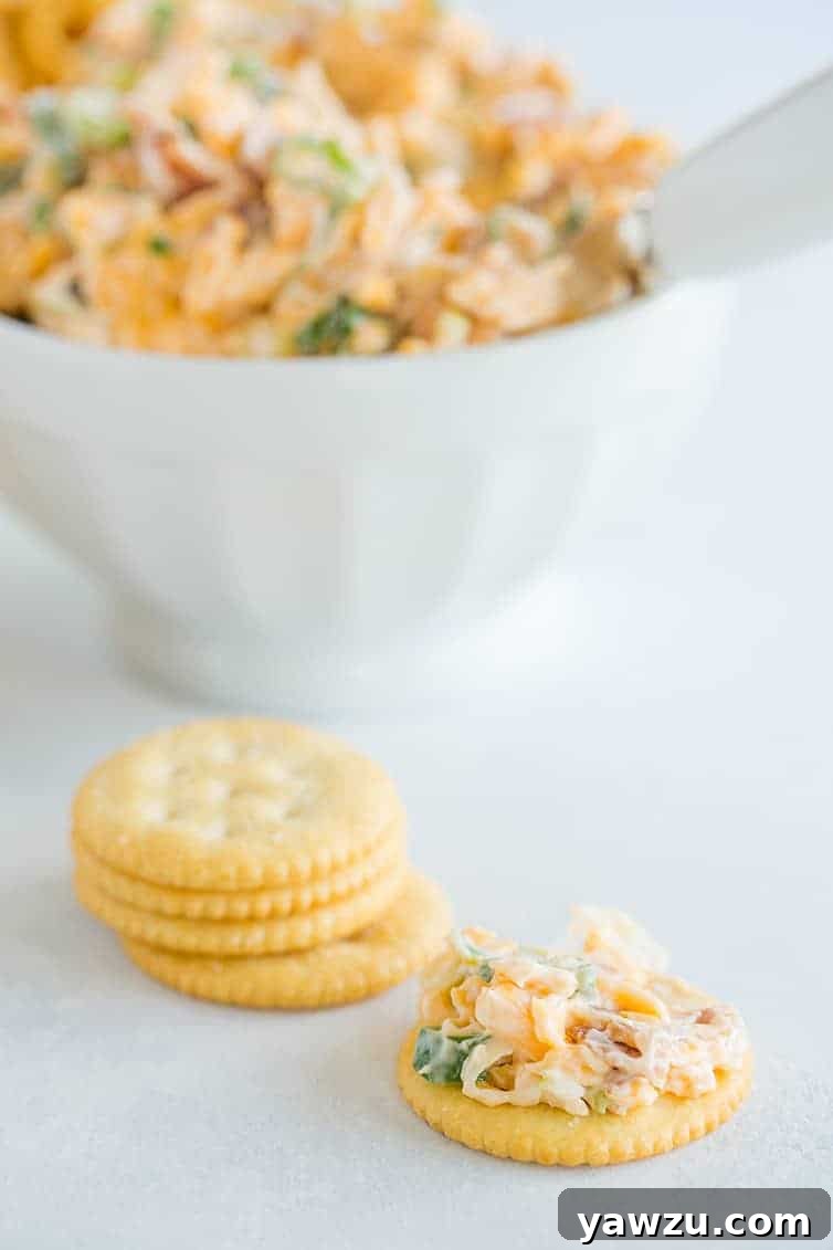Neiman Marcus Dip - A quick and easy combination of bacon, cheddar, scallions, mayo, toasted almonds and hot sauce! 