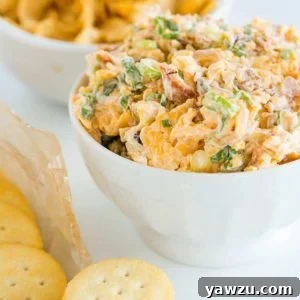 Neiman Marcus Dip - A quick and easy combination of bacon, cheddar, scallions, mayo, toasted almonds and hot sauce!