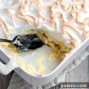 A top-down view of a pan of Southern Banana Pudding, showcasing the beautifully golden-brown meringue topping and a glimpse of the rich layers beneath.