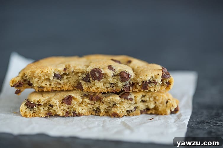 Delicious soft and chewy chocolate chip cookies.