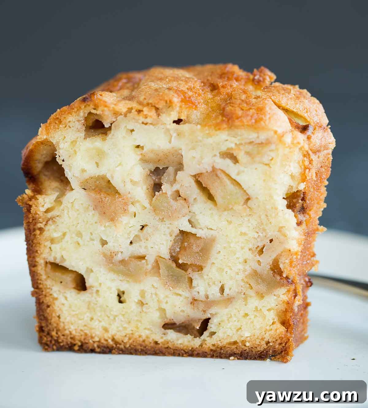 A delectable slice of Jewish apple cake, revealing its rich, moist crumb and an abundance of cinnamon-sugar coated apple chunks.