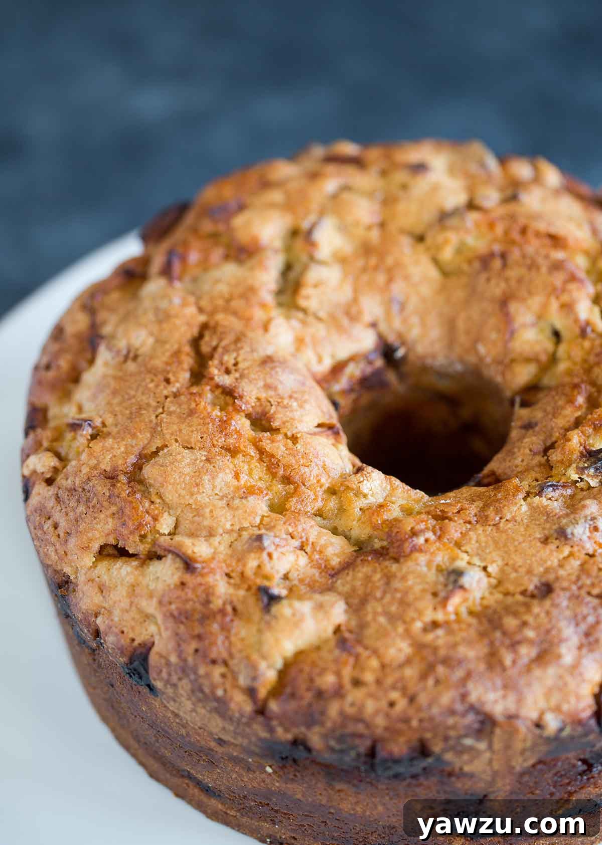 A beautifully baked, whole Jewish apple cake, freshly removed from its pan and presented on a pristine white cake platter.