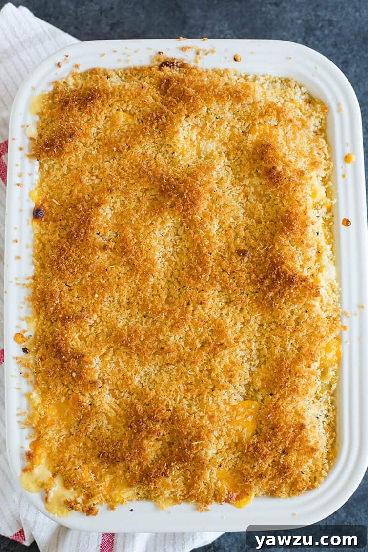 Close-up of Chrissy Teigen's Mac and Cheese with an abundance of golden-brown, cheesy garlic bread crumbs.