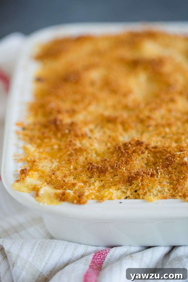 Close-up of Chrissy Teigen's Mac and Cheese bubbling in a baking dish, with golden, toasted bread crumbs on top.