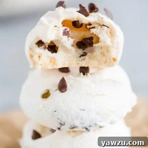 A stack of chocolate chip meringue cookies, with one cookie showing a bite taken out, set against a warm background.