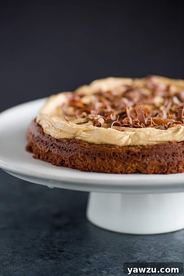 Brownie Cake with Cookie Butter Frosting on a serving platter, showcasing its rich layers and smooth topping.