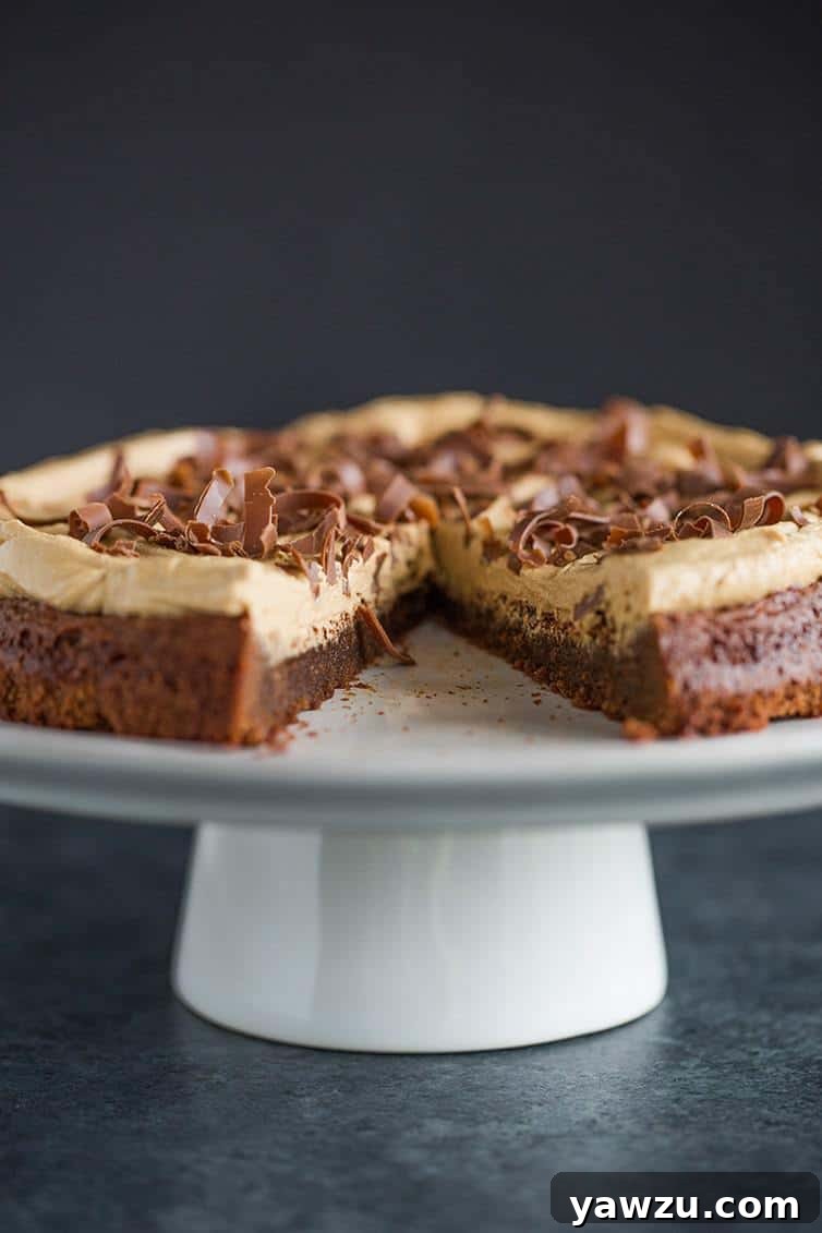 A serving platter with a luscious Brownie Cake featuring a missing slice, revealing its rich interior and thick cookie butter frosting.