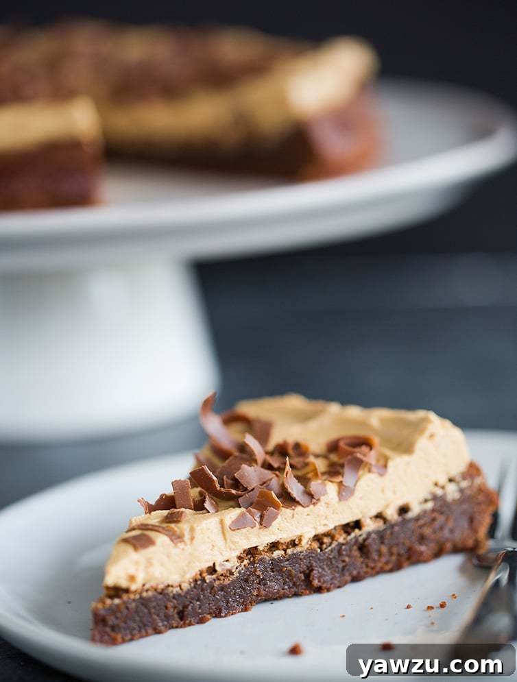 A close-up shot of a perfect slice of Brownie Cake with a generous layer of Speculoos Cookie Butter Frosting, ready to be enjoyed.
