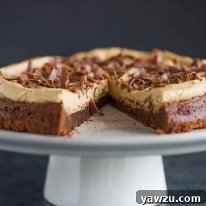 Brownie Cake with Speculoos Cookie Butter Frosting on a serving platter with a slice missing, ready for enjoyment.