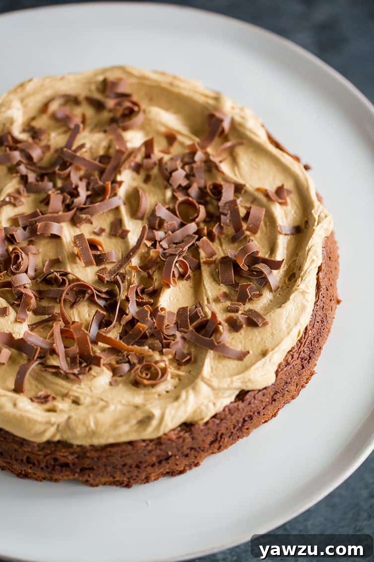 An inviting overhead shot of the complete Brownie Cake generously topped with Speculoos Cookie Butter Frosting, ready for slicing and serving.