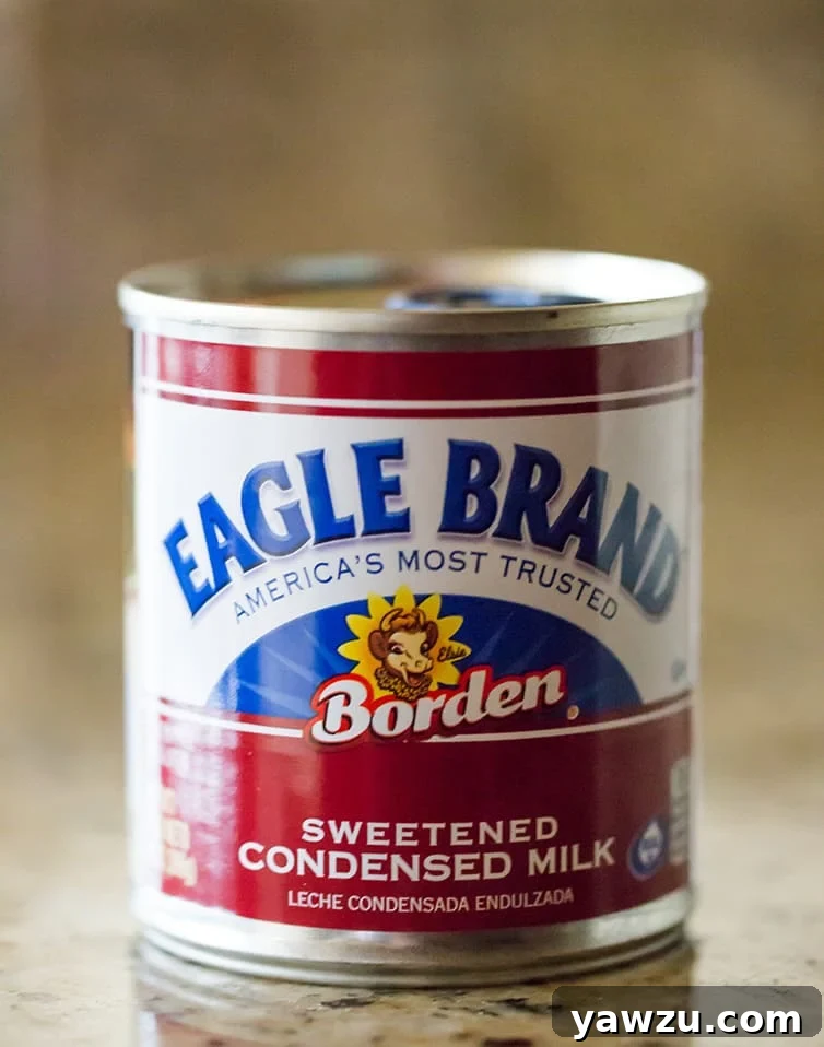 A can of Eagle Brand sweetened condensed milk, a key ingredient for these easy magic bars.