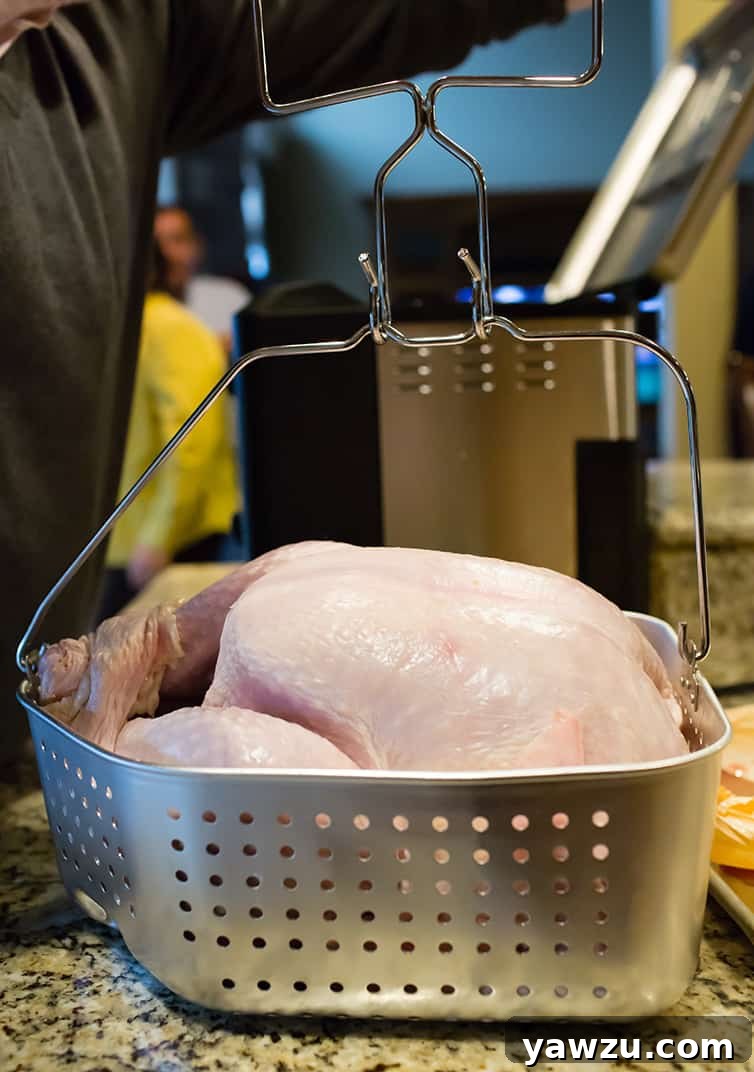 A raw turkey, seasoned and prepared, being carefully lowered into a deep fryer filled with hot oil. The image highlights the crucial step of safely placing the turkey into the fryer.