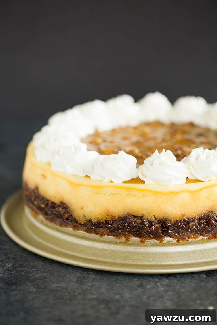 A pecan pie cheesecake with elegant whipped cream rosettes on top, ready to be served.