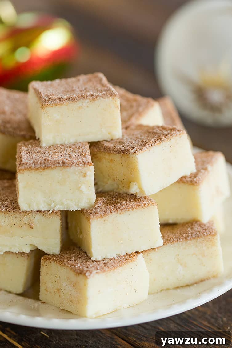 Squares of snickerdoodle fudge stacked elegantly on a pristine white plate, showcasing its creamy texture and cinnamon-sugar topping.