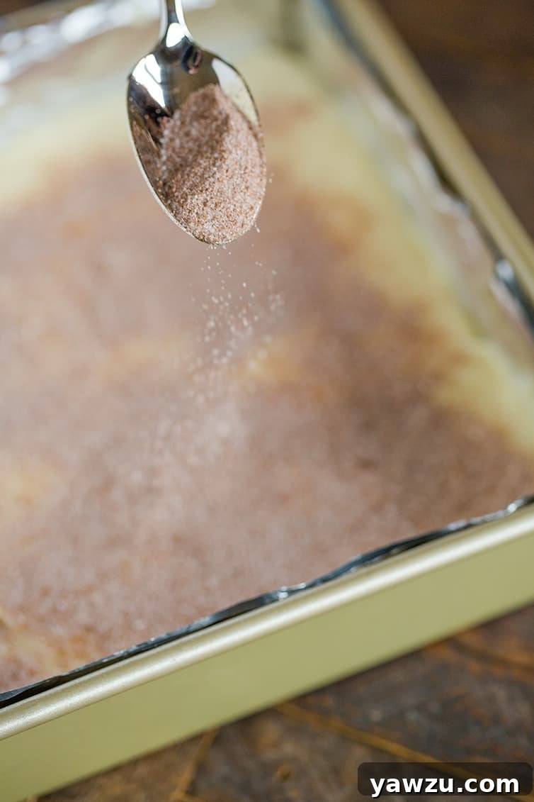 An overhead view capturing the moment cinnamon sugar is evenly sprinkled over freshly poured snickerdoodle fudge in a pan.