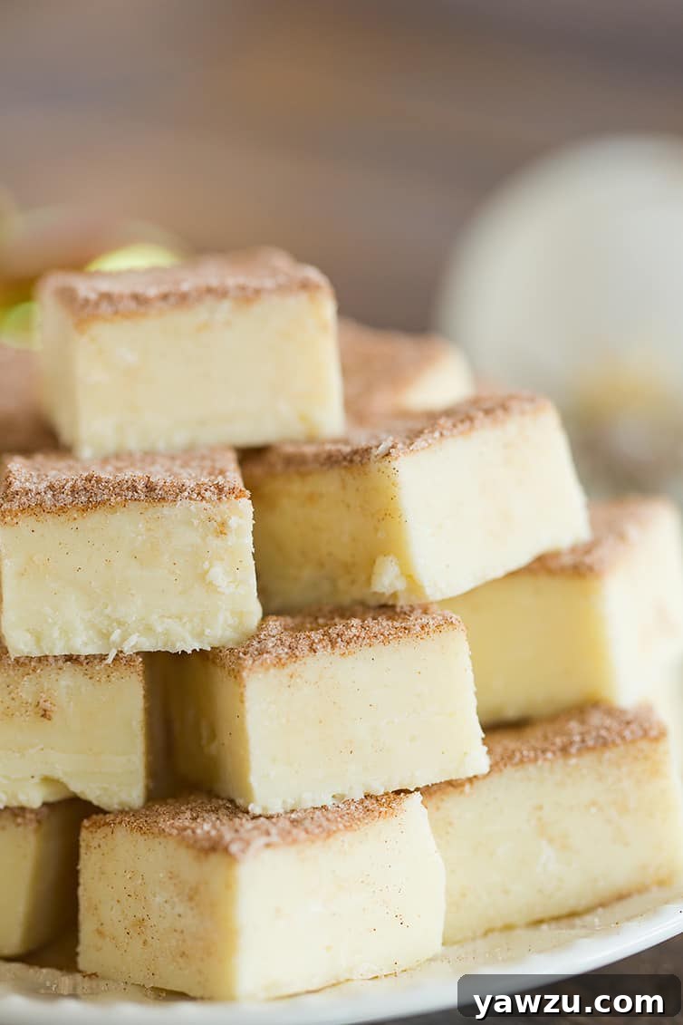 A beautiful closeup shot of perfectly cut squares of snickerdoodle fudge resting on a white plate, highlighting their texture.