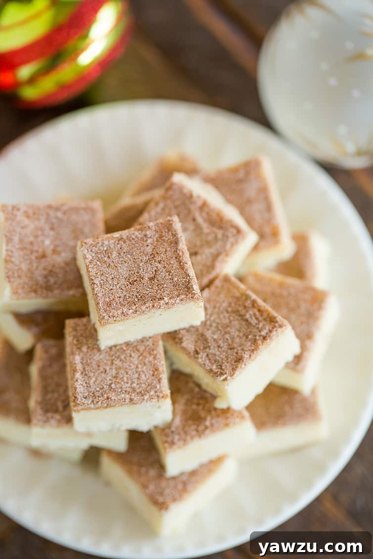 An inviting overhead shot showcasing a stack of several snickerdoodle fudge squares on a clean white plate, ready to be enjoyed.