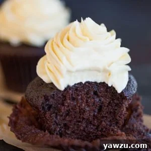 A chocolate cupcake with vanilla frosting with a bite taken out.