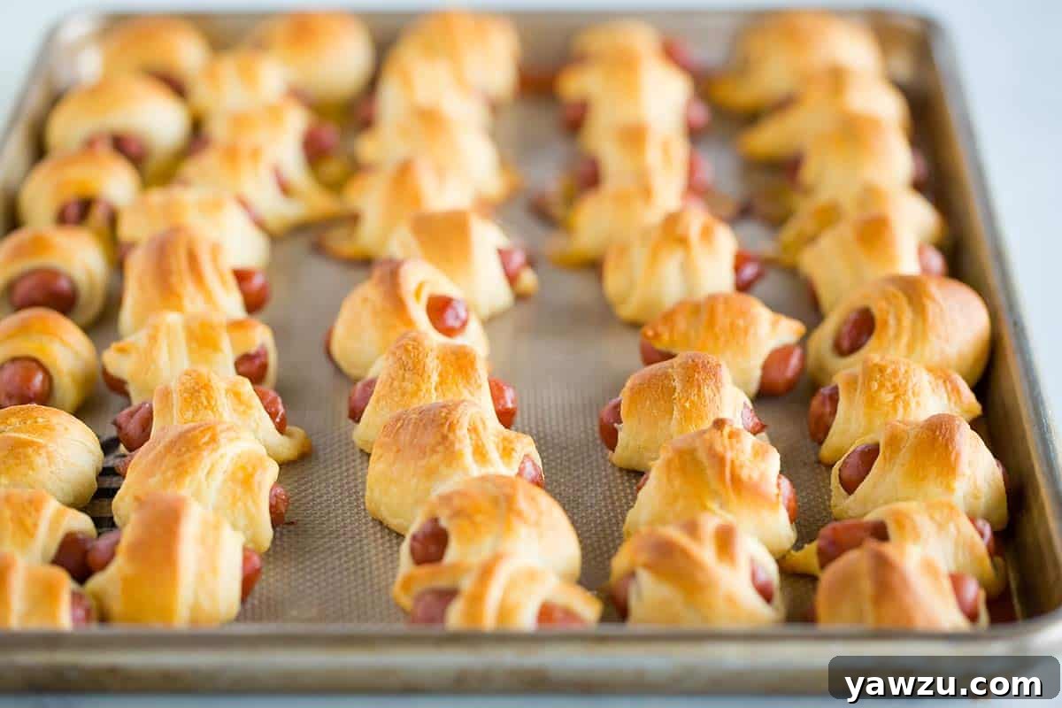A sheet pan with freshly baked, golden-brown pigs in a blanket.