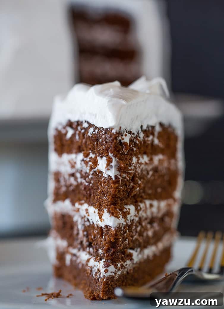 A captivating head-on shot of a single slice of Devil's Food Cake, highlighting its distinct dark layers and fluffy white frosting.
