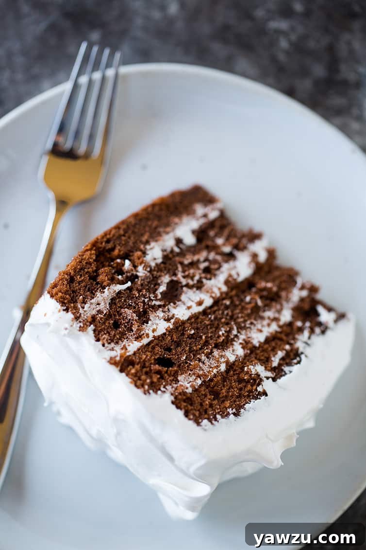 An inviting overhead perspective of a slice of Devil's Food Cake, perfectly cut and ready to be savored.