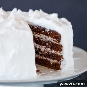 Traditional Devil's Food Cake with a slice removed