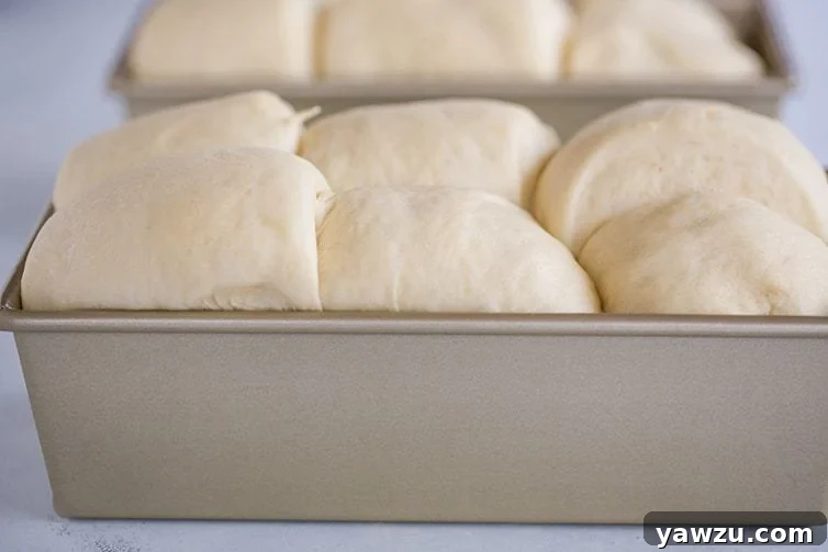 Milk bread dough after its second rise.