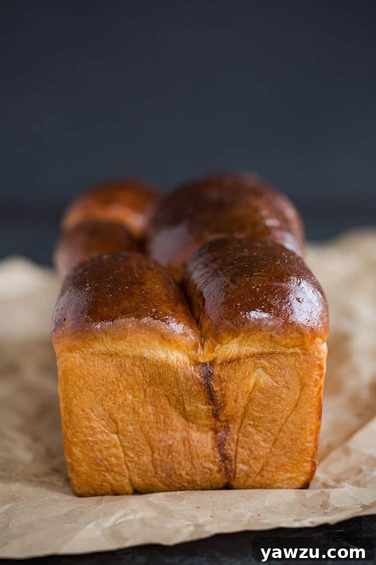 Milk bread sandwich loaf