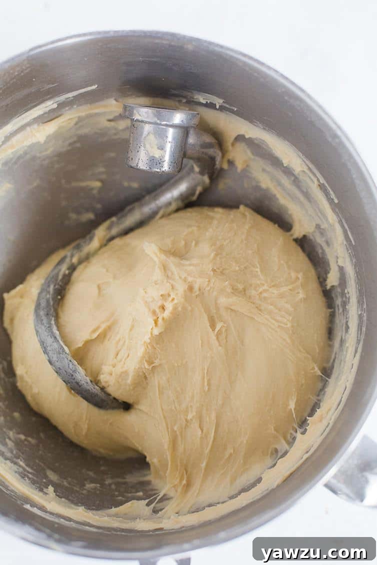 The dough for milk bread after it finished kneading.