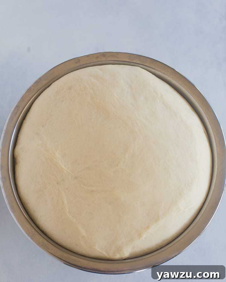 Milk bread dough after its first rise.