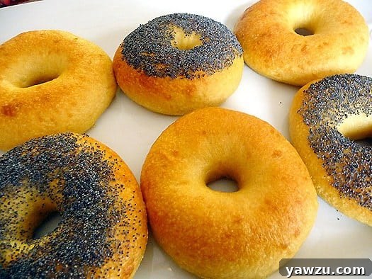 3 plain egg bagels and 3 poppy seed egg bagels.
