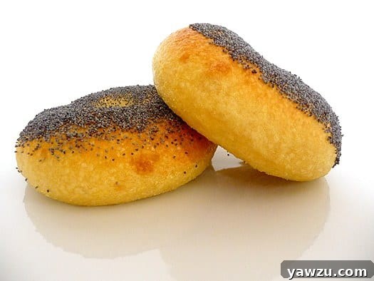 2 egg poppyseed bagels.