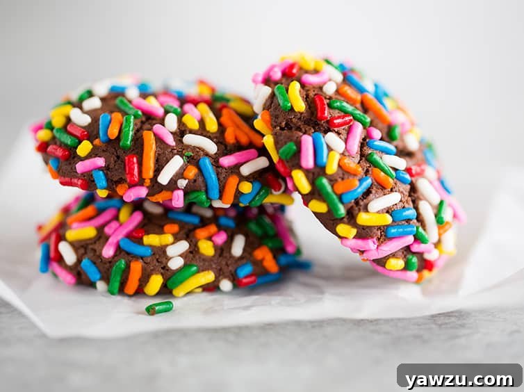 A trio of freshly baked chocolate crinkle sprinkle cookies resting on parchment paper, ready to be enjoyed.