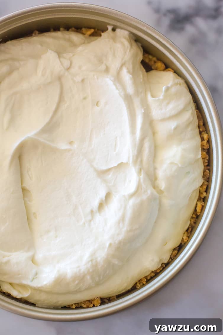 Key lime cheesecake filling spread in a springform pan.