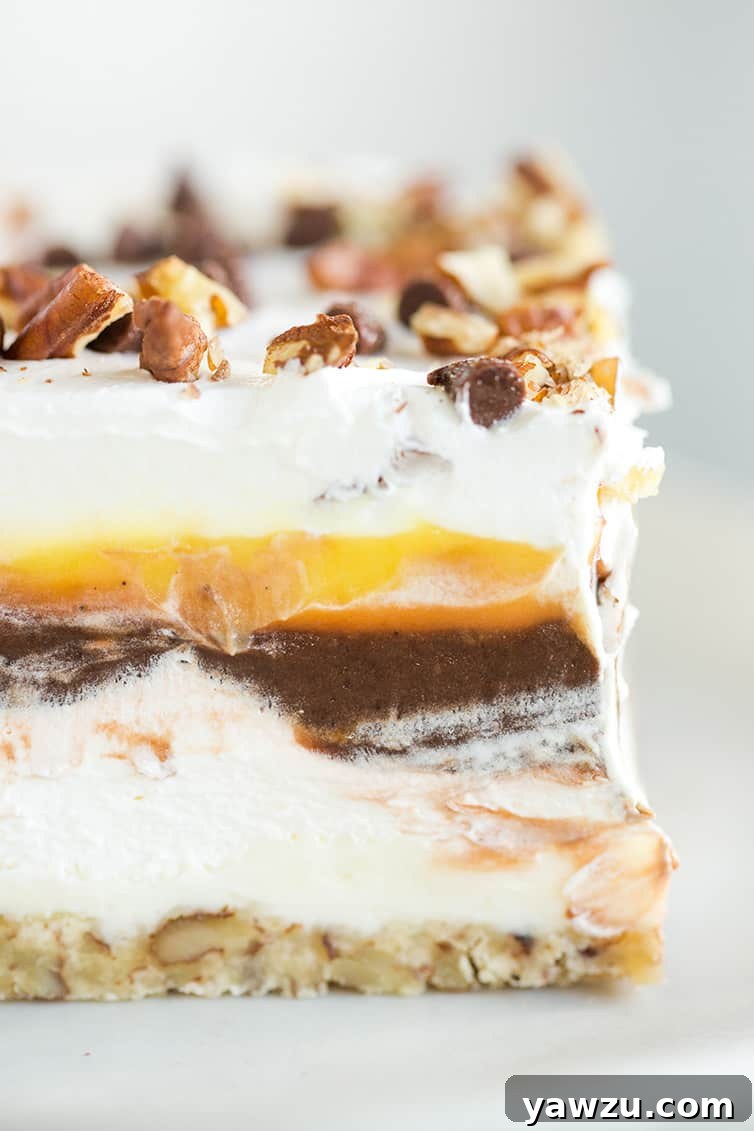 A close-up photo of a decadent chocolate lush dessert on a plate, highlighting its texture.