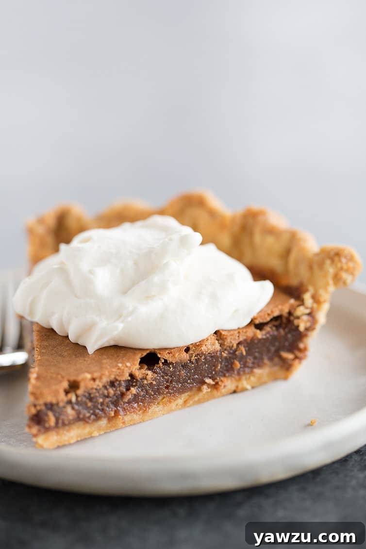 A close-up of a single slice of chocolate chess pie, perfectly baked and garnished with a swirl of whipped cream on top.