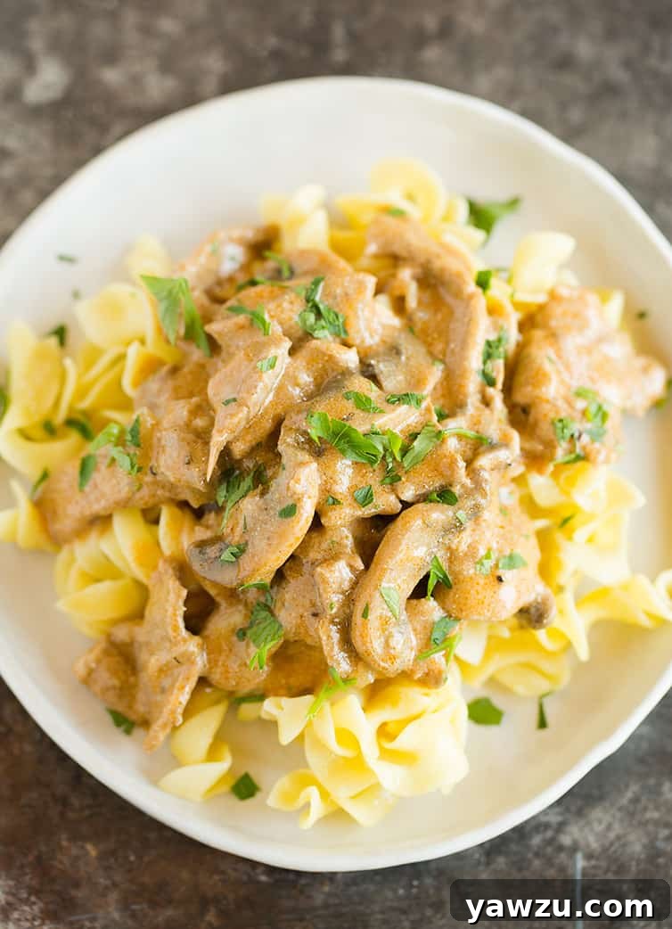 A plate of beef stroganoff over egg noodles, garnished with fresh parsley.
