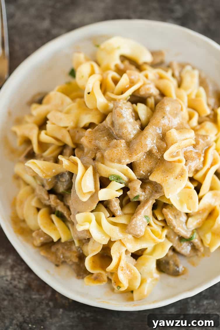 Creamy Beef Stroganoff mixed with egg noodles on a plate, ready to be enjoyed.