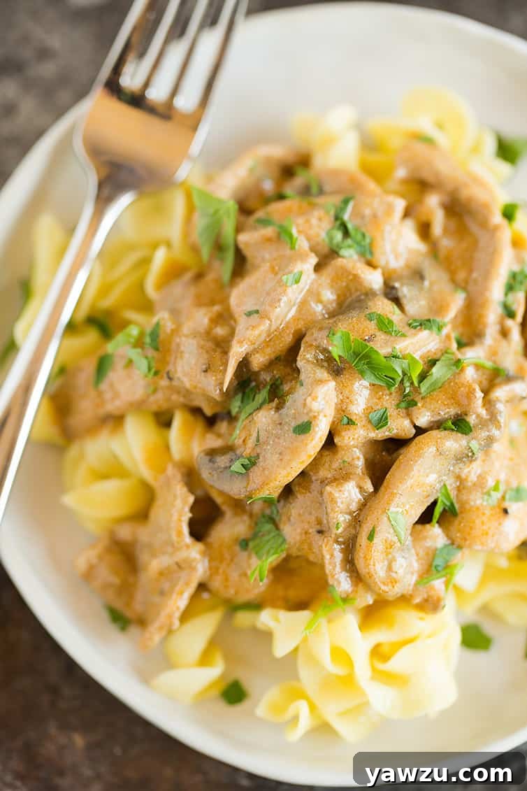 A beautifully plated Beef Stroganoff with egg noodles and a generous sprinkle of fresh parsley.