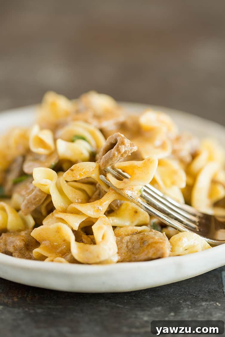 A forkful of creamy Beef Stroganoff, showcasing the tender beef and rich sauce.