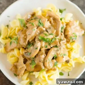 A plate of beef stroganoff over egg noodles.