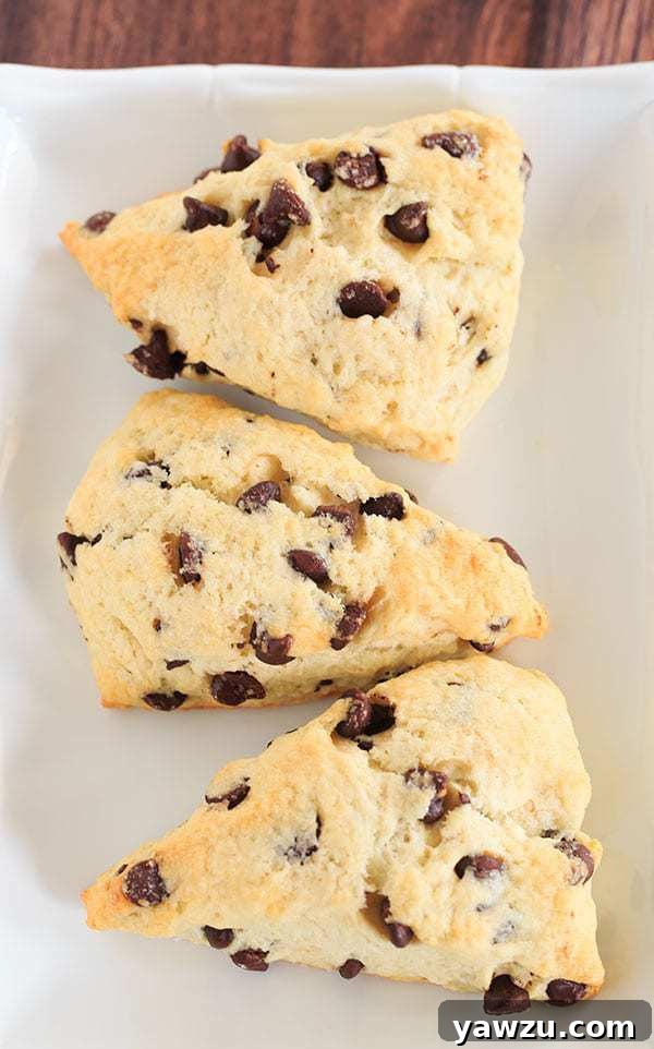 Close-up of freshly baked Chocolate Chip Scones on a cooling rack, ready to be enjoyed with coffee.