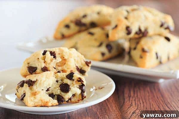 Homemade Chocolate Chip Scones displayed beautifully, emphasizing their golden crust and fluffy interior.